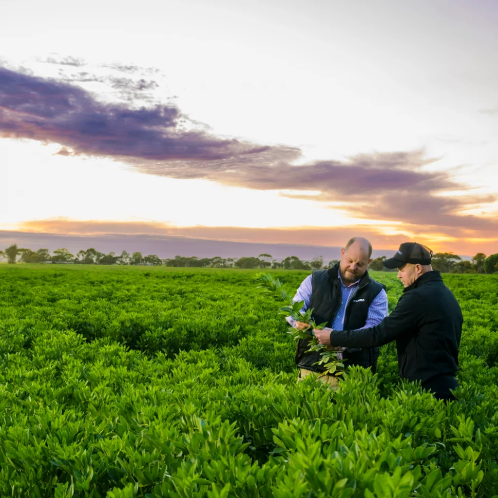 Farmer and Viterra rep in field at sunset